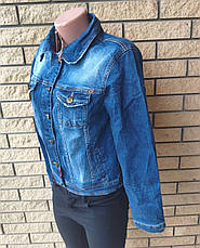 Куртка жіноча джинсова стрейчева на ґудзиках, є великі розміри CRACPOT, Туреччина, фото 4