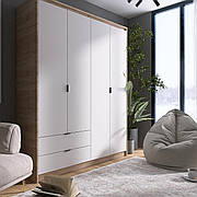 Велика шафа Еверест Сіті-1600 (Штанга–Штанга)