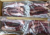 Щупальця гігантського кальмара привареноморожені