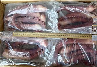 Щупальця гігантського кальмара привареноморожені