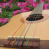 Струни Alice A107C для класичної гітари, кольорові, 6 струн, нормальна натяжка (28-43), фото 4