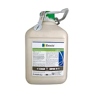 Інсектицид Енжіо Syngenta - 1 л