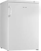 Морозильна камера Gorenje F 49 DPW, фото 2