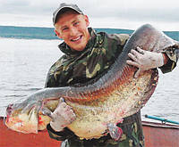 Квок на сома