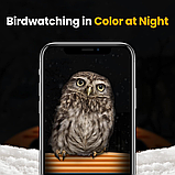 Годівниця для птахів з камерою на сонячних батареях Smart Bird Feeder Camera AI Identifies, фото 3