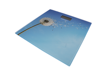 Підлогові ваги Grunhelm BES-BLB до 180 кг сенсорне керування точні