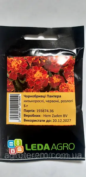 Леда Квіти Чорнобрівці Пантера 5 г