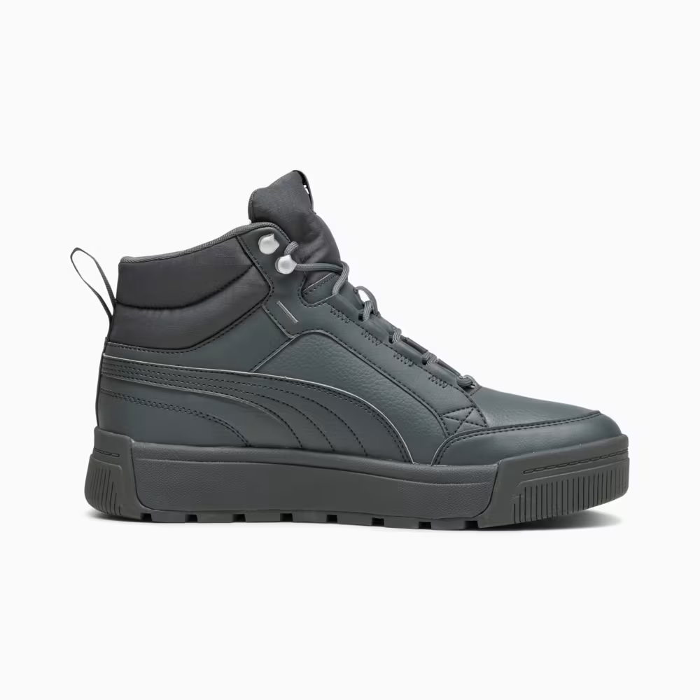 Кросівки чоловічі Puma Tarrenz SB III (392628 03)