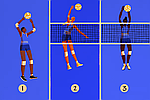 Усі позиції на волейбольному майданчику, пояснення. Спорт та активний відпочинок