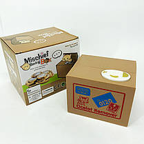 Дитяча сейф скарбничка злодюжка монет HM-596 у коробці, фото 2