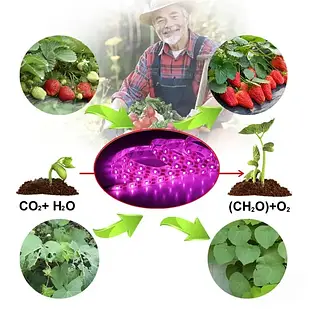 Фітолента для саджанців SMD2835 5V USB 5 м