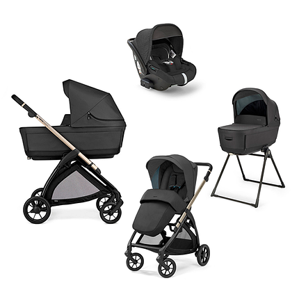 Коляска 4в1 Inglesina Electa з автокріслом Darwin Infant Recline 2024, фото 1