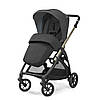 Коляска 4в1 Inglesina Electa з автокріслом Darwin Infant Recline 2024, фото 11