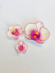 Набір прикрас для торта з шоколадної глазурі Орхідеї набір