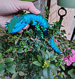 3Д дракон-хамелеон з широкими лапами, рухлива антистресс іграшка., фото 5