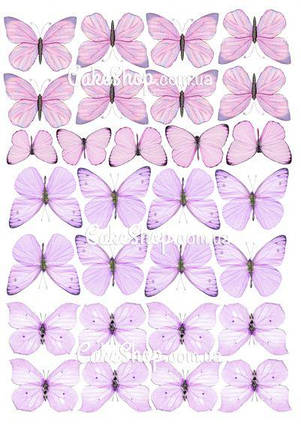 Вафельна картинка Метелики 20
