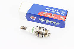 Свічка 2T BM6A - M14 L8 - пилки/коси (упаковка TORCH), YT-201362