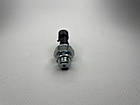 Датчик тиску масла на Fiat Ducato 244, Peugeot Boxer, Citroen Jumper (02-06), 500312468, 1131C7, 504310254, фото 2