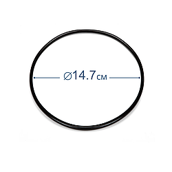 Ущільнювальне кільце для блока попередньої фільтрації (скімера) Intex 11232