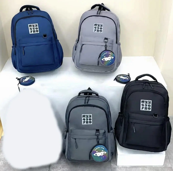 Спортивний шкільний рюкзак міський на блискавці з кишенею та гаманцем 45*32 см в різних варіантах VTTV