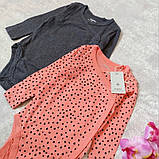 Бодіки боді з довгим рукавом (набір 2 шт.) Lupilu на дівчинку р.62-68, 2-6 місяців, фото 4