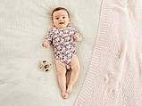 Бодіки боді з довгим рукавом (набір 2 шт.) Lupilu на дівчинку р.74-80, 6-12 місяців, фото 3