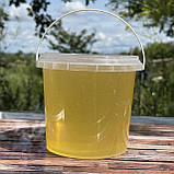 2025 р Мед Акацієвий з білої Акації 1 л рідкий натуральний з сімейної пасіки 1400 грам, фото 4