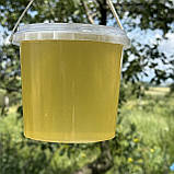 2025 р Мед Акацієвий з білої Акації 1 л рідкий натуральний з сімейної пасіки 1400 грам, фото 2