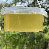 2025 р Мед Акацієвий з білої Акації 0,5 л рідкий, натуральний з сімейної пасіки 700 грам