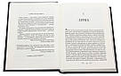 Комплект 220: Серія Алекс Стерн. Автор Лі Бардуґо, фото 3