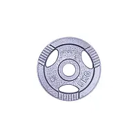 Диск чавунний inSPORTline Hamerton 5 кг