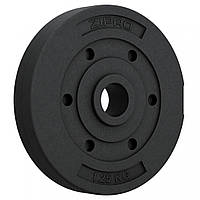 Диск бітумний Zipro 1,25 кг