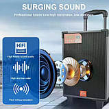 Колонка портативна Bluetooth колонка SING-E JQS908S 8" 40Вт акумулятор 2000мАч до 9ч RGB підсвічування TWS FM AUX USB мікрофон, фото 5