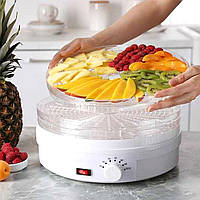 Сушарка для овочів і фруктів горизонтальна, Сушіння для харчових продуктів, Сушильна машина для фруктів і овочів, EZA