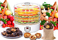 Електросушарка для фруктів Camry (Польща), Електронна сушарка для фруктів, EZA