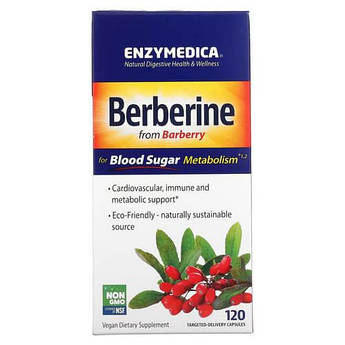 Enzymedica Berberine 120 рослинних капсул із спрямованою дією