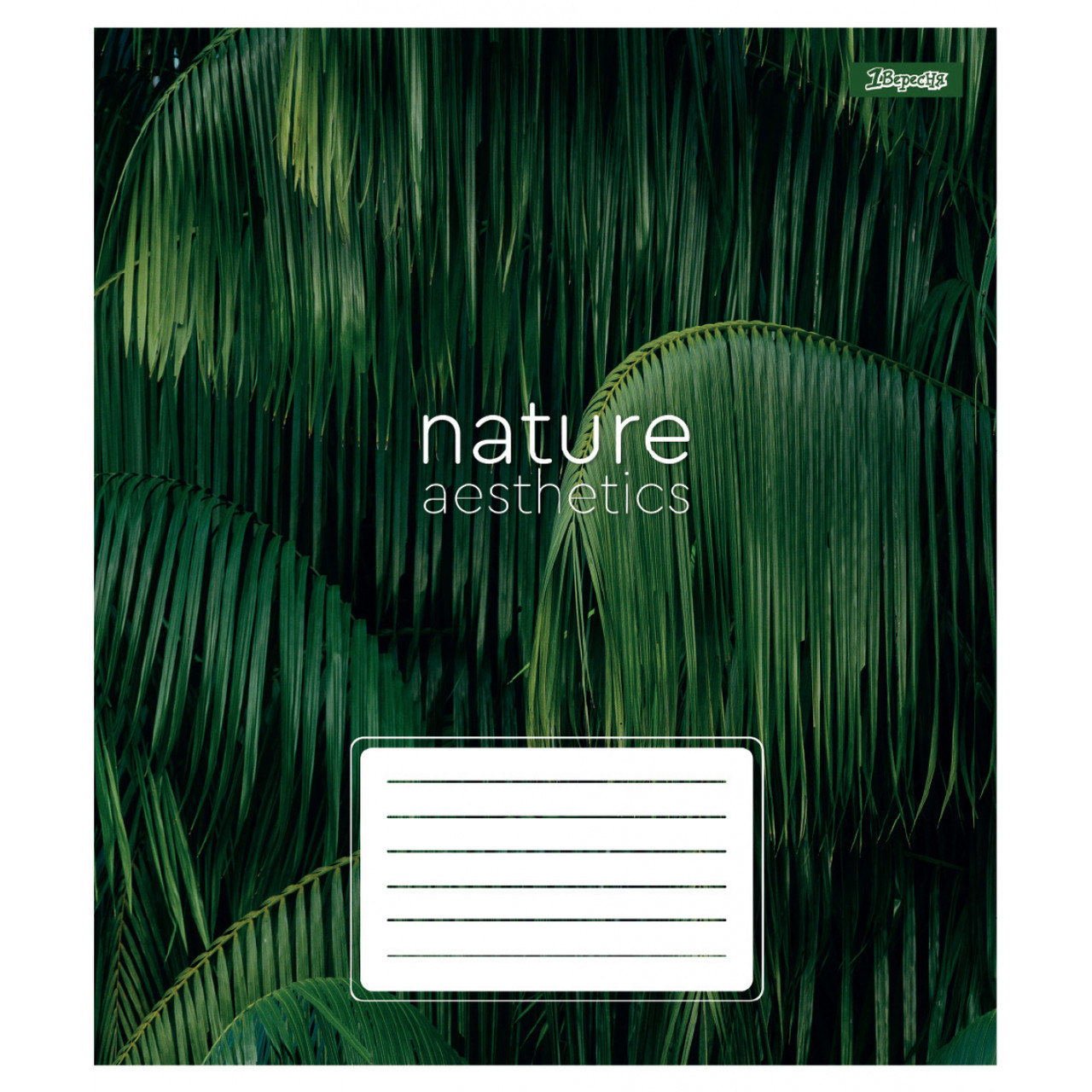 Зошит шкільний 1 Вересня Nature aesthetics А5 24 аркуші клітинка 768100