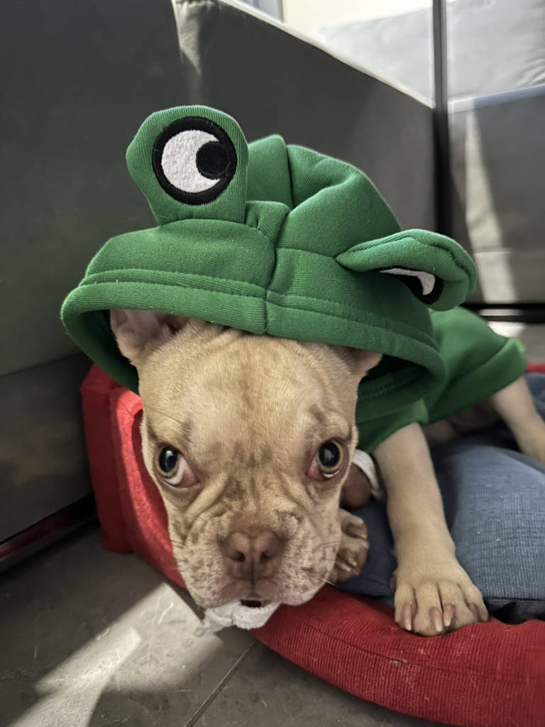 Волокно абразивне SMIRDEX червоне Р320 - фото покупців 1