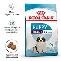 Сухий корм для цуценят Royal Canin Giant Puppy 15 кг (Роял Канін Паппі) гігантських порід