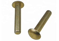 Заклепка накладки колодки