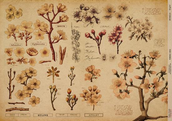 Декупажна карта на крафт паперу 29,7x42 см, Ботаніка Крафт, #0032