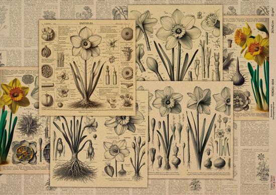 Декупажна карта на крафт паперу 29,7x42 см, Ботаніка Крафт, #0034