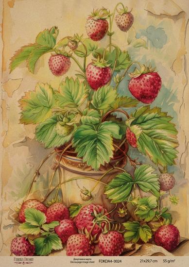 Декупажна карта на крафт паперу 21x29,7 см, Ботаніка Вінтаж, #0024