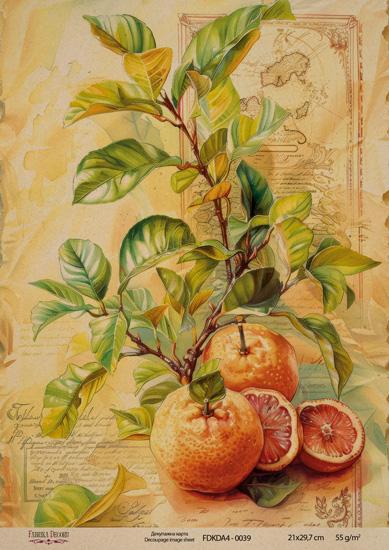 Декупажна карта на крафт паперу 21x29,7 см, Ботаніка Вінтаж, #0039