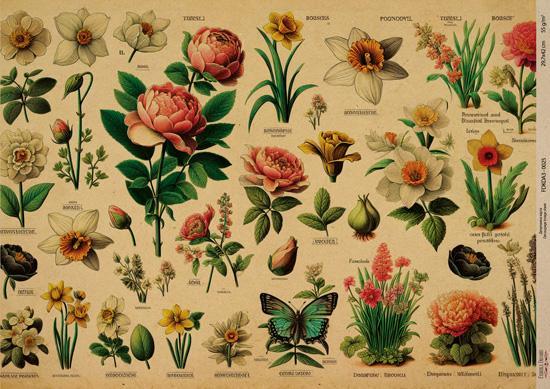 Декупажна карта на крафт паперу 29,7x42 см, Ботаніка Крафт, #0025