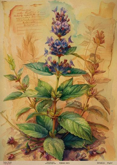 Декупажна карта на крафт паперу 29,7x42 см, Ботаніка Крафт, #0015