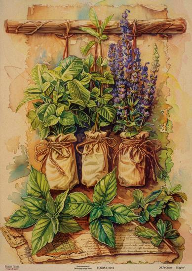 Декупажна карта на крафт паперу 29,7x42 см, Ботаніка Крафт, #0012