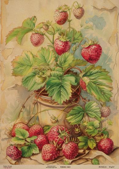 Декупажна карта на крафт паперу 29,7x42 см, Ботаніка Крафт, #0021