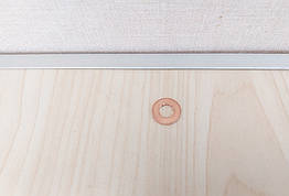 Шайба під форсунку Iveco Daily E5 (2011-2014) 2.3hpi, 55215424, 55245288