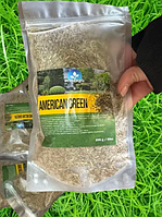 Насіння газонної трави American Green, 200 г